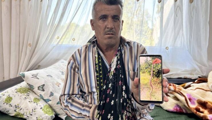 Engerek ısıran çiftçi, bileğinden bağlanarak hayatta kaldı