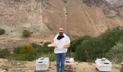 Eşek sırtında kaya balı arayan Recep Kurt’un mücadelesi