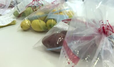 Gıda analizlerinde “1000’de 1” hassasiyetle kusurlar tespit ediliyor