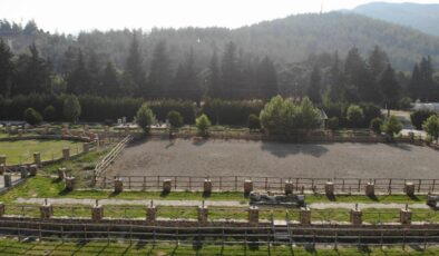 Kahramanmaraş’ta at yetiştiriciliği yükselişte