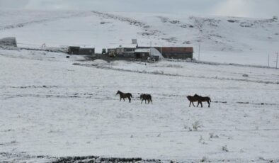 Kars’ta kar yağışı başladı, yüksek kesimler beyaza büründü