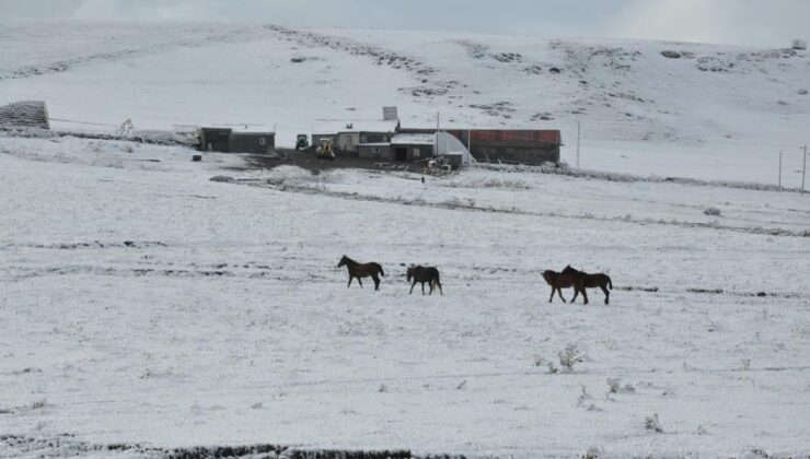 Kars’ta kar yağışı başladı, yüksek kesimler beyaza büründü