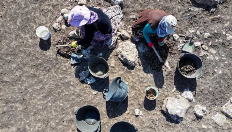 Kazılarla 12 bin yıllık Çayönü’nün sırları gün yüzüne çıkıyor