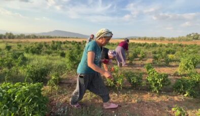 Kilisli kadınlar kırsal kalkınmada aktif rol oynuyor