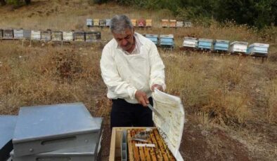 Malatya Pütürge’de bal hasadı tamamlandı, kilogramı 500 TL’den satışta