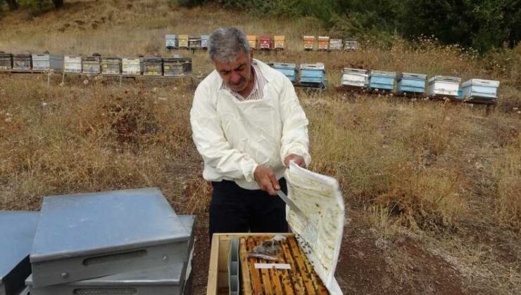 Malatya Pütürge’de bal hasadı tamamlandı, kilogramı 500 TL’den satışta