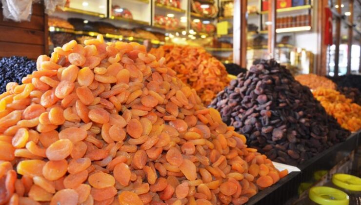 Malatya’dan 9 bin ton kuru kayısı ihracatıyla 45 milyon dolar gelir