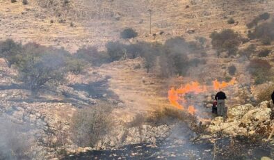Mardin Yeşilli’deki ot yangını kontrol altına alındı