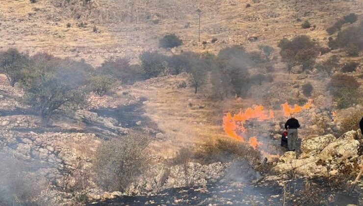 Mardin Yeşilli’deki ot yangını kontrol altına alındı