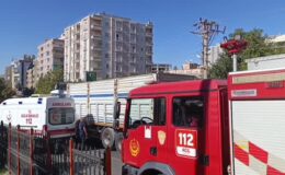 Mardin’de tırın çarptığı kadın hayatını kaybetti