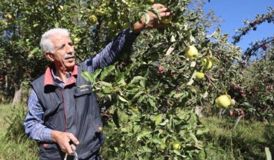 Meyveciliği hobiyle başladı, ticarete dönüştürdü