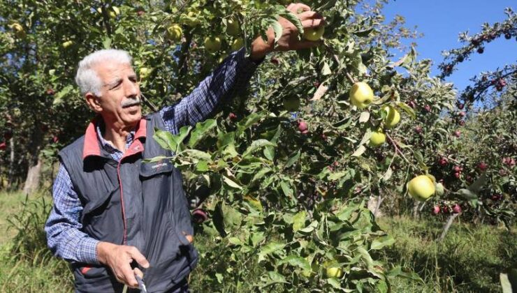 Meyveciliği hobiyle başladı, ticarete dönüştürdü