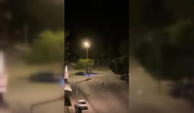 Nesli tehlike altında olan vaşak görüntülendi
