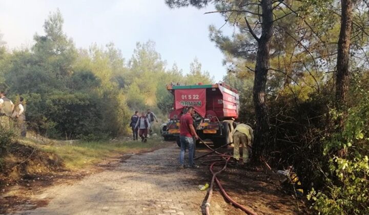 Osmaniye’de orman yangını başladı
