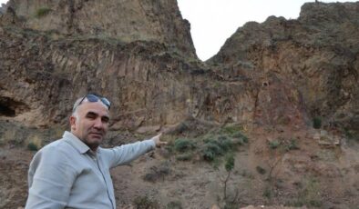 Olur’da yaban keçileri köylülerin koruması altında