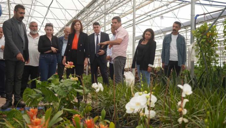 Serra Bucak ve Doğan Hatun Karaali’de sera alanlarını inceledi