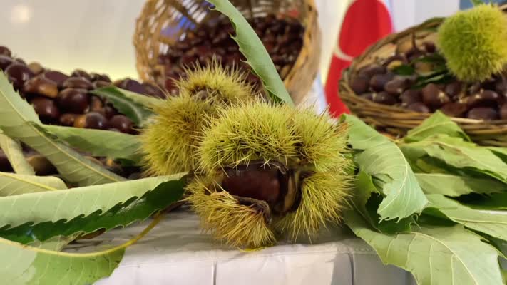 Sezonun ilk kestaneleri kilogramı 500 liradan satıldı