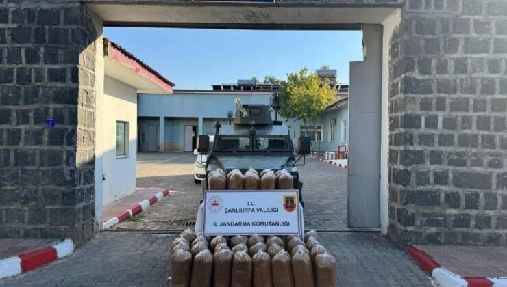 Siverek’te 240 kilo kaçak tütün ele geçirildi
