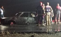 Siverek’te seyir halindeki otomobil alev alarak yandı