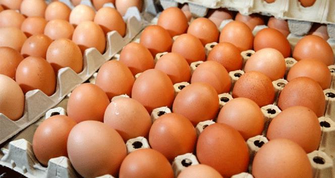 Tavuk yumurtası üretimi yıllık yüzde 2,8 arttı