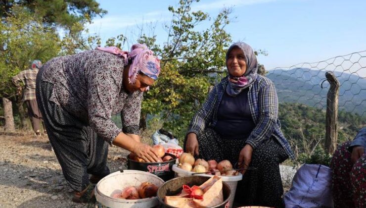 Tescilli Kuytucak narı Adana’da bahçede 20 liradan satılıyor