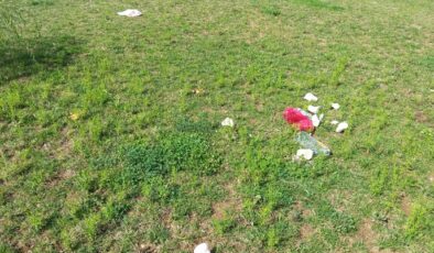 Tarihi ve kültürel alanlarda utandıran görüntü