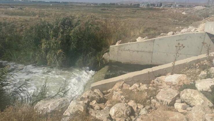 Van Gölü’ne kaçak deşarj yapan belediyeye ceza