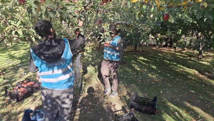 Vanlı hayırsever elma gelirini Gazze’ye bağışladı