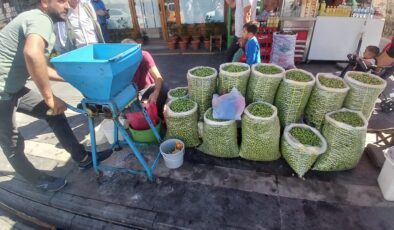 Diyarbakır’da taze zeytin zamanı başladı