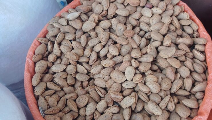 Yeni Mahsul Bademler Tezgahları Süsledi: Kilogramı 150 TL!