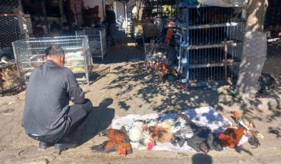 Canlı Hayvan pazarı hareketli günlerini yaşıyor