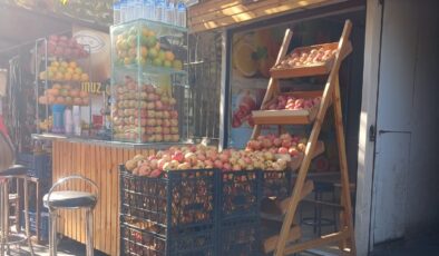 Diyarbakır’da Zivzik Nar Suyuna ilgi: Her Derde Deva