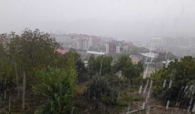 Kulp’ta aniden bastıran dolu yağışı ilçeyi beyaza bürüdü