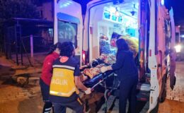Aile faciası: Şizofren genç annesini ve anneannesini öldürdü