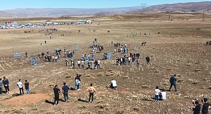 2.Toklular at yarışı düzenlendi