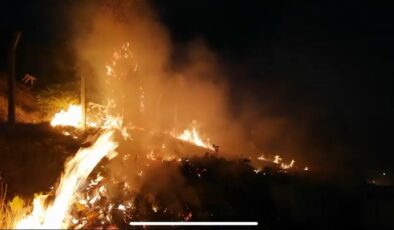 Darende’de iki ayrı noktada yangın paniği