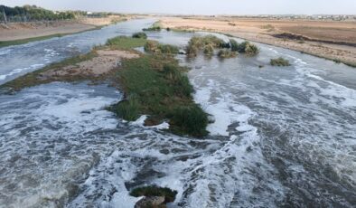 Dicle Nehri’nden alınan numuneler temiz çıktı