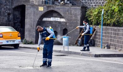 Diyarbakır’da haşerelere karşı ilaçlama yapılıyor