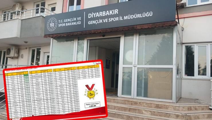 Diyarbakır, Lisans Sayısında 18. Sırada