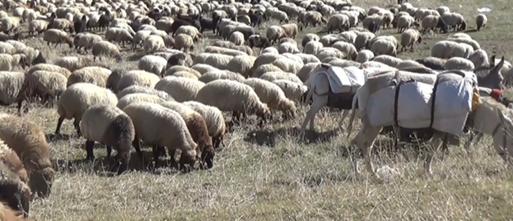 Kulp İlçesinde göçerler dönüş yolculuğuna başladı