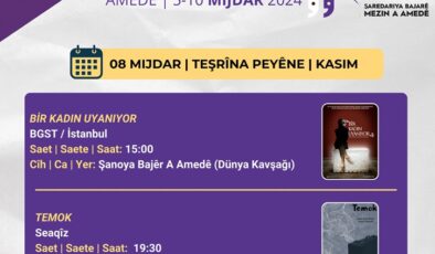 Amed Kadın Tiyatro Günleri düzenlenecek