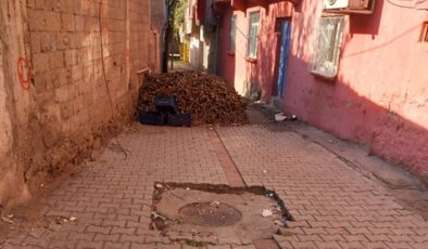 Bağlar’da odunlar kapı eşiğine dökülmeye başlandı