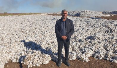 Diyarbakır’da Pamuk üreticileri verilen fiyattan dertli!