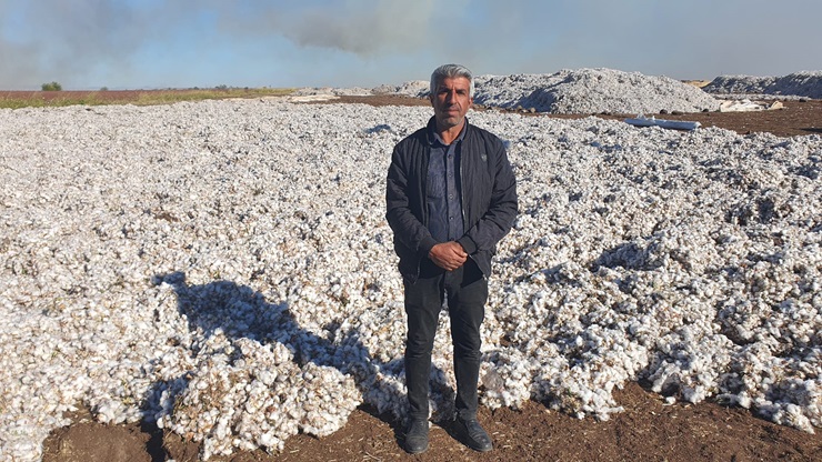 Diyarbakır’da Pamuk üreticileri verilen fiyattan dertli!