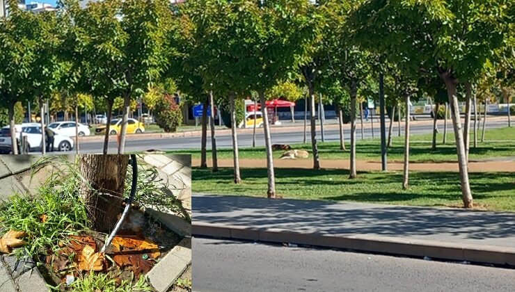 Kayapınar ilçesinde örnek sulama sistemi