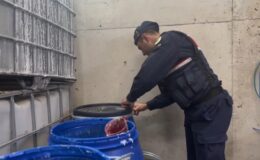 Tekirdağ’da 23 ton sahte deterjan ele geçirildi: 12 milyonluk operasyon