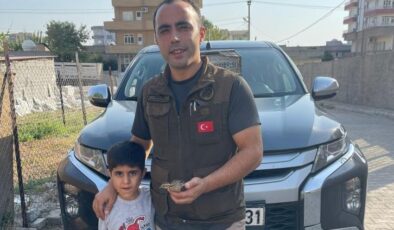Şırnak’ta duyarlı vatandaş yaralı bıldırcını yetkililere teslim etti