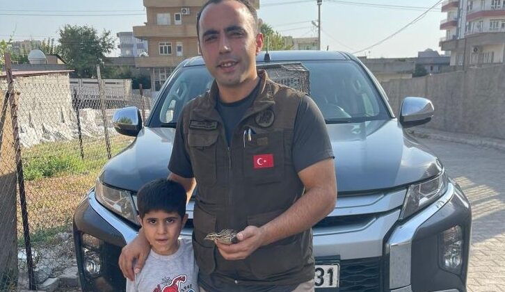 Şırnak’ta duyarlı vatandaş yaralı bıldırcını yetkililere teslim etti
