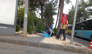 Yenişehir yollarında bulunan orta refüjler süsleniyor