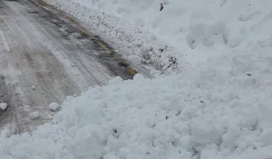 6 köye ulaşımın sağlandığı kara yolu çığ nedeniyle kapandı